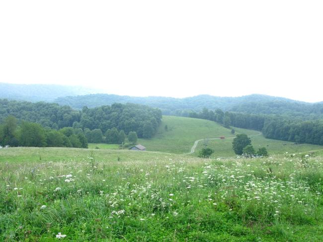 101 Grassy Meadows Road Alderson, WV 24910 - Photo 10 of 40 Sweeping vistas