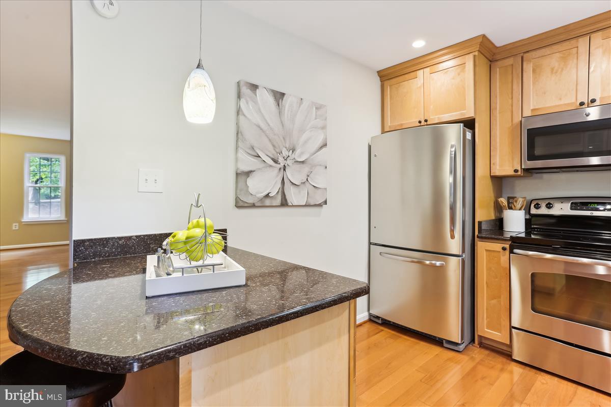 11972 Sentinel Point Court Reston, VA 20191 - Photo 14 of 45 Stainless and granite