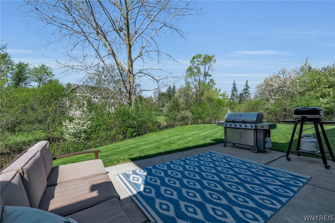 580 North Forest Road Amherst, NY 14221 - Photo 28 of 32 Back patio