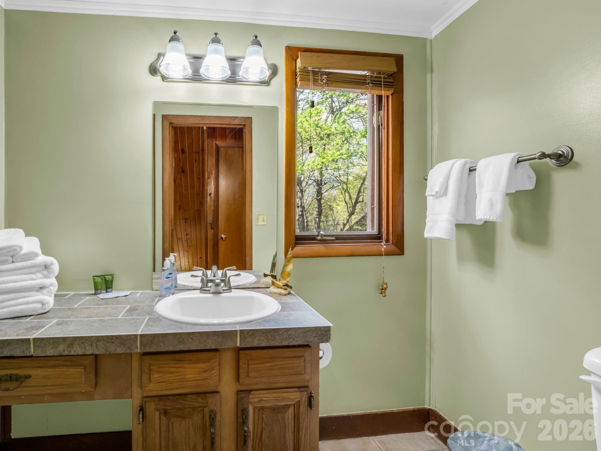 307 Watership Road Lake Lure, NC 28746 - Photo 19 of 48 a bathroom with a sink and a mirror