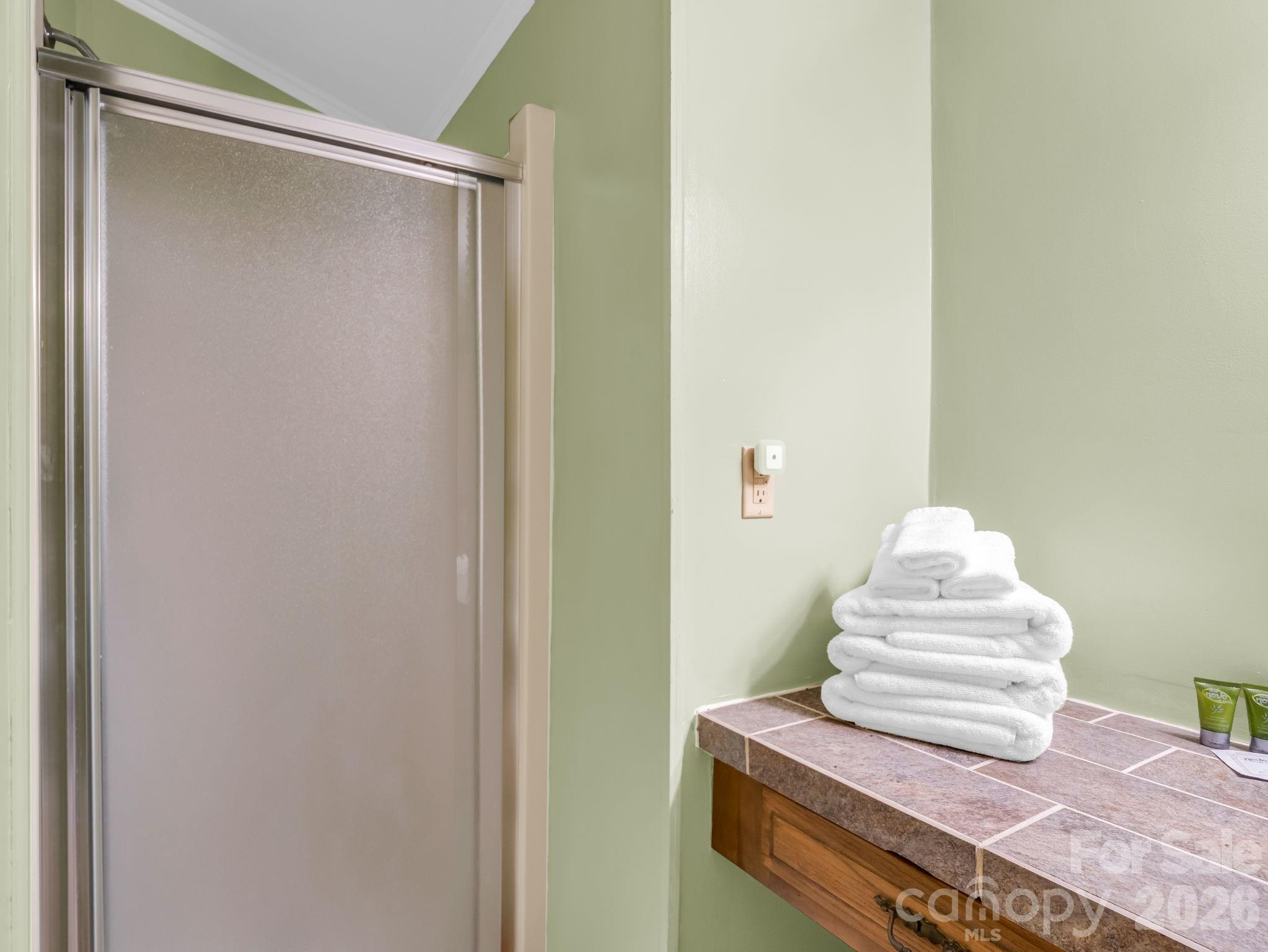307 Watership Road Lake Lure, NC 28746 - Photo 20 of 48 a bathroom with a sink
