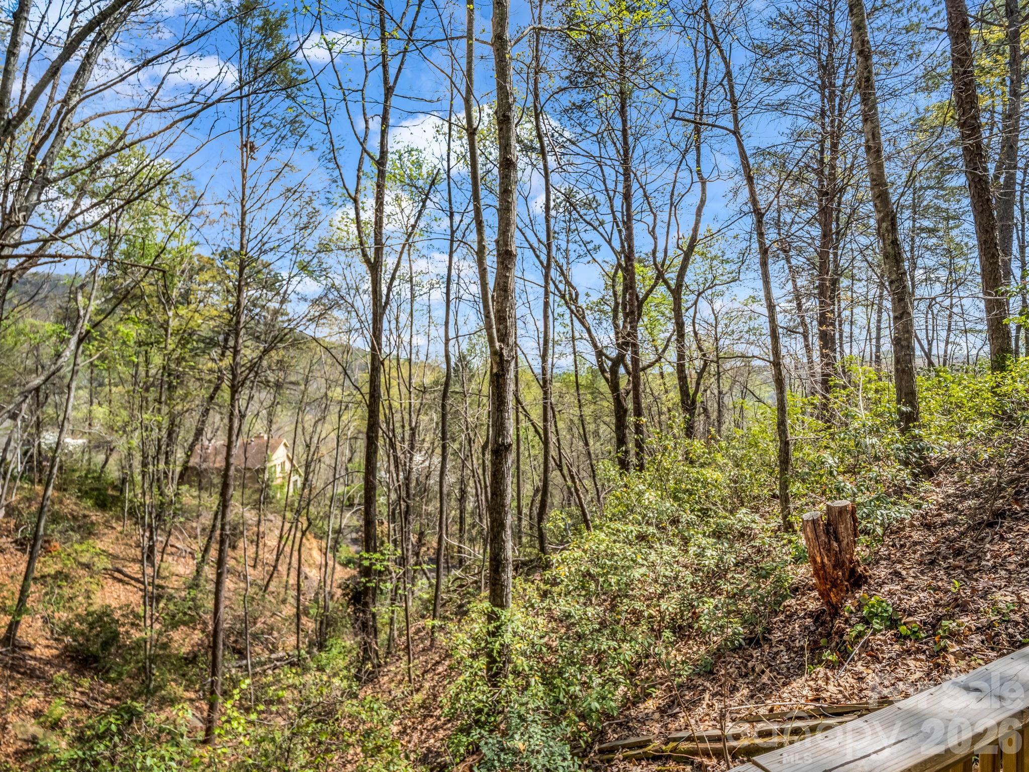 307 Watership Road Lake Lure, NC 28746 - Photo 37 of 48 a view of yard