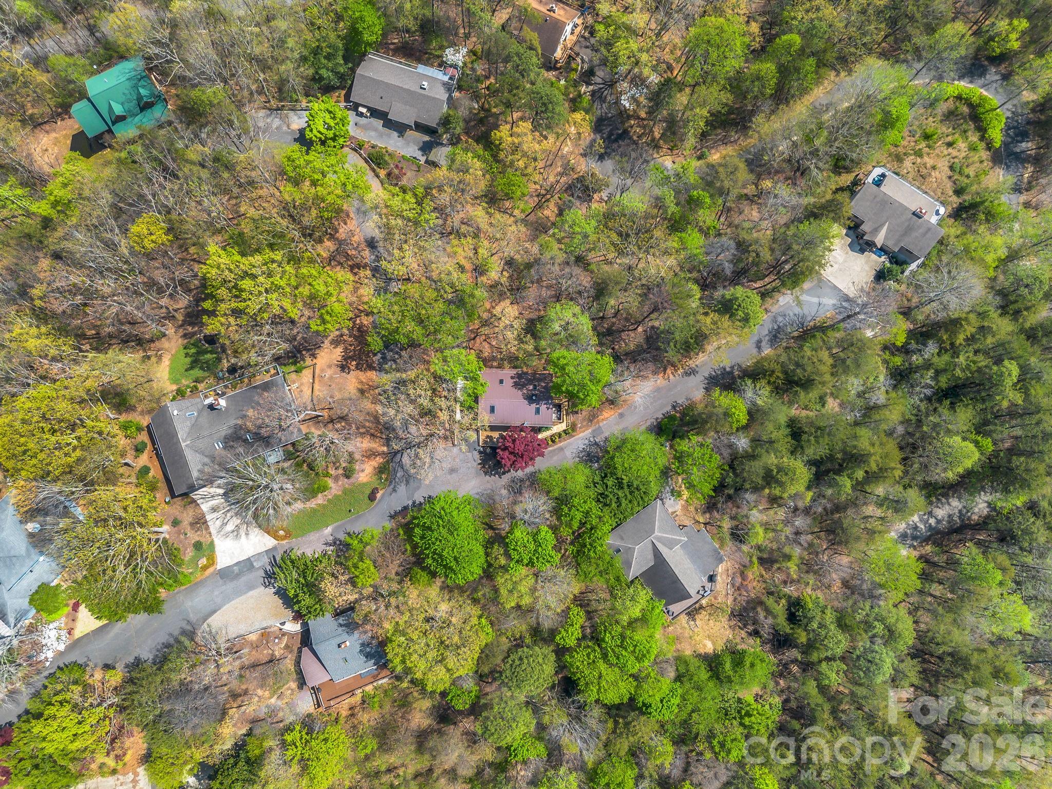 307 Watership Road Lake Lure, NC 28746 - Photo 38 of 48 a bird view of location
