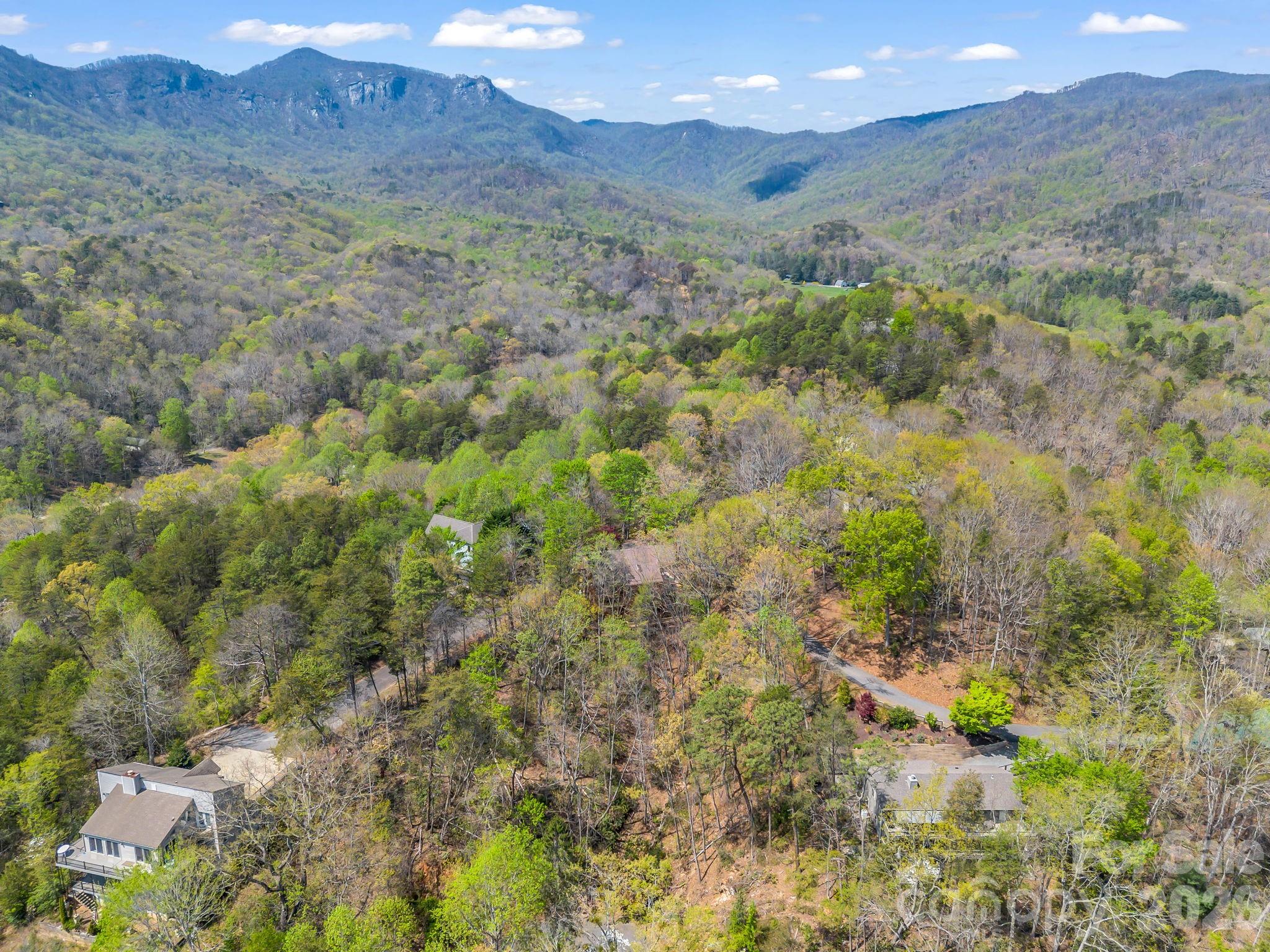 307 Watership Road Lake Lure, NC 28746 - Photo 40 of 48 a view of a lush green hillside and a mountain