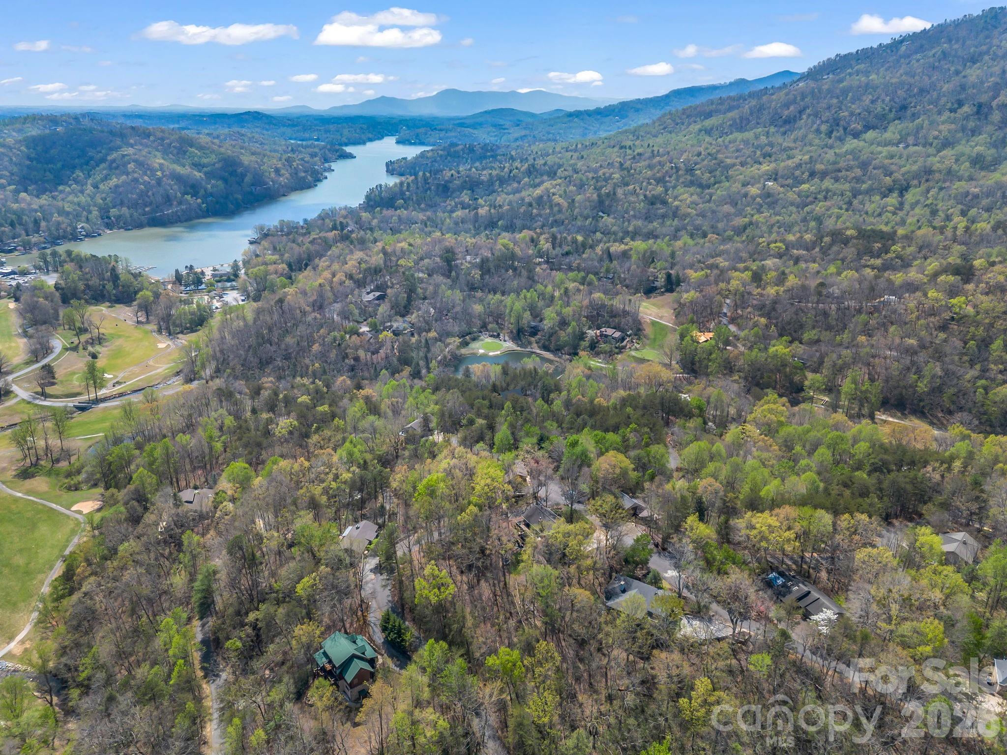 307 Watership Road Lake Lure, NC 28746 - Photo 42 of 48 a view of a yard next to a lake with lots of trees