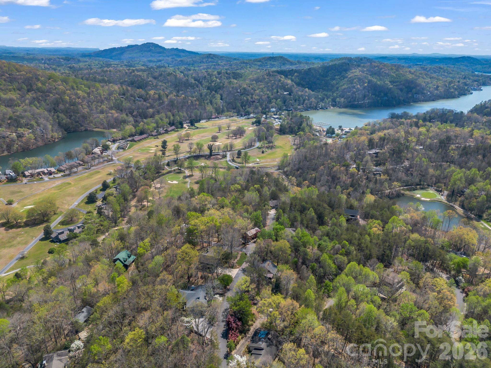 307 Watership Road Lake Lure, NC 28746 - Photo 43 of 48 a view of a houses with mountains