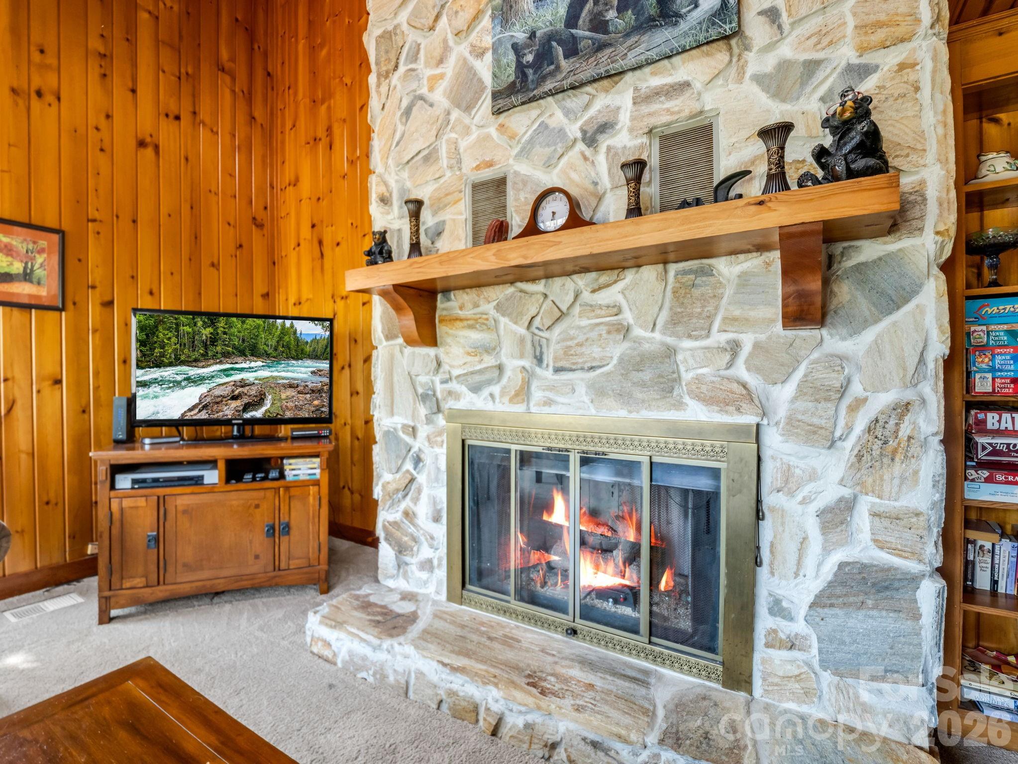 307 Watership Road Lake Lure, NC 28746 - Photo 8 of 45