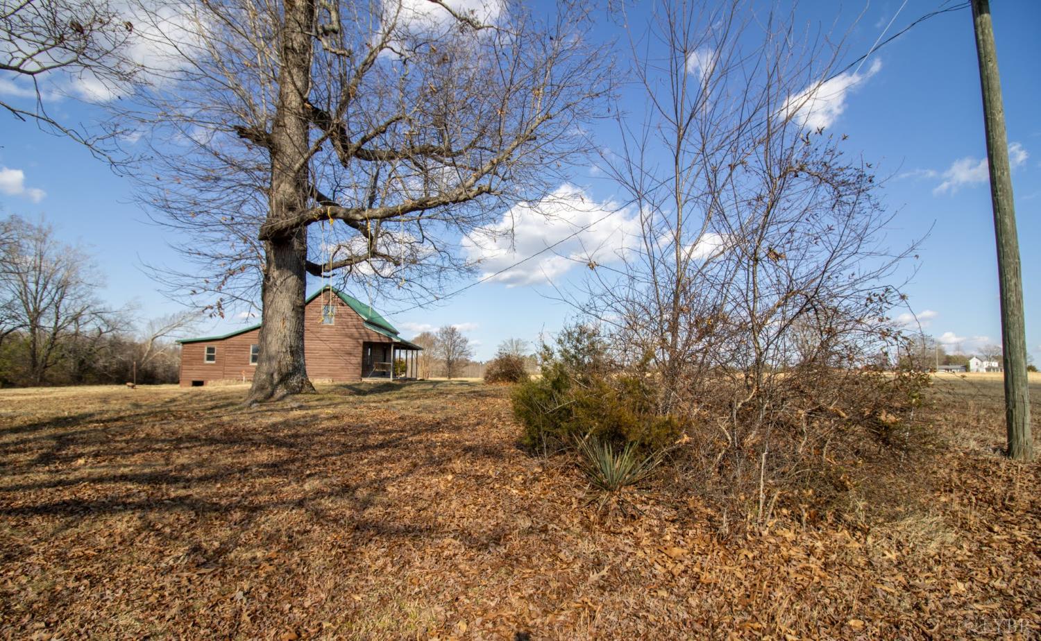 3039 T N Snow Road Nathalie, VA 24577 - Photo 45 of 50 a large tree in the middle of a yard