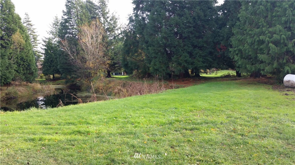 4232 Rural Avenue Bellingham, WA 98226 - Photo 4 of 23