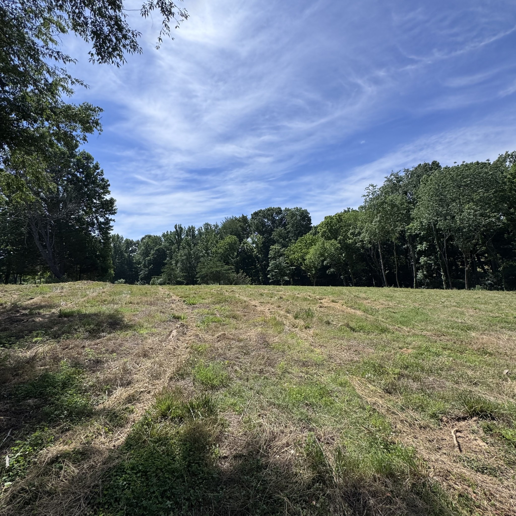 5 Poplar Ridge Lane Chapmansboro, TN 37035 - Photo 19 of 34 a view of outdoor space and yard