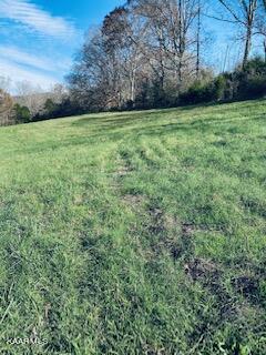 Bob Wright Road Maynardville, TN 37807 - Photo 3 of 3 IMG_0906