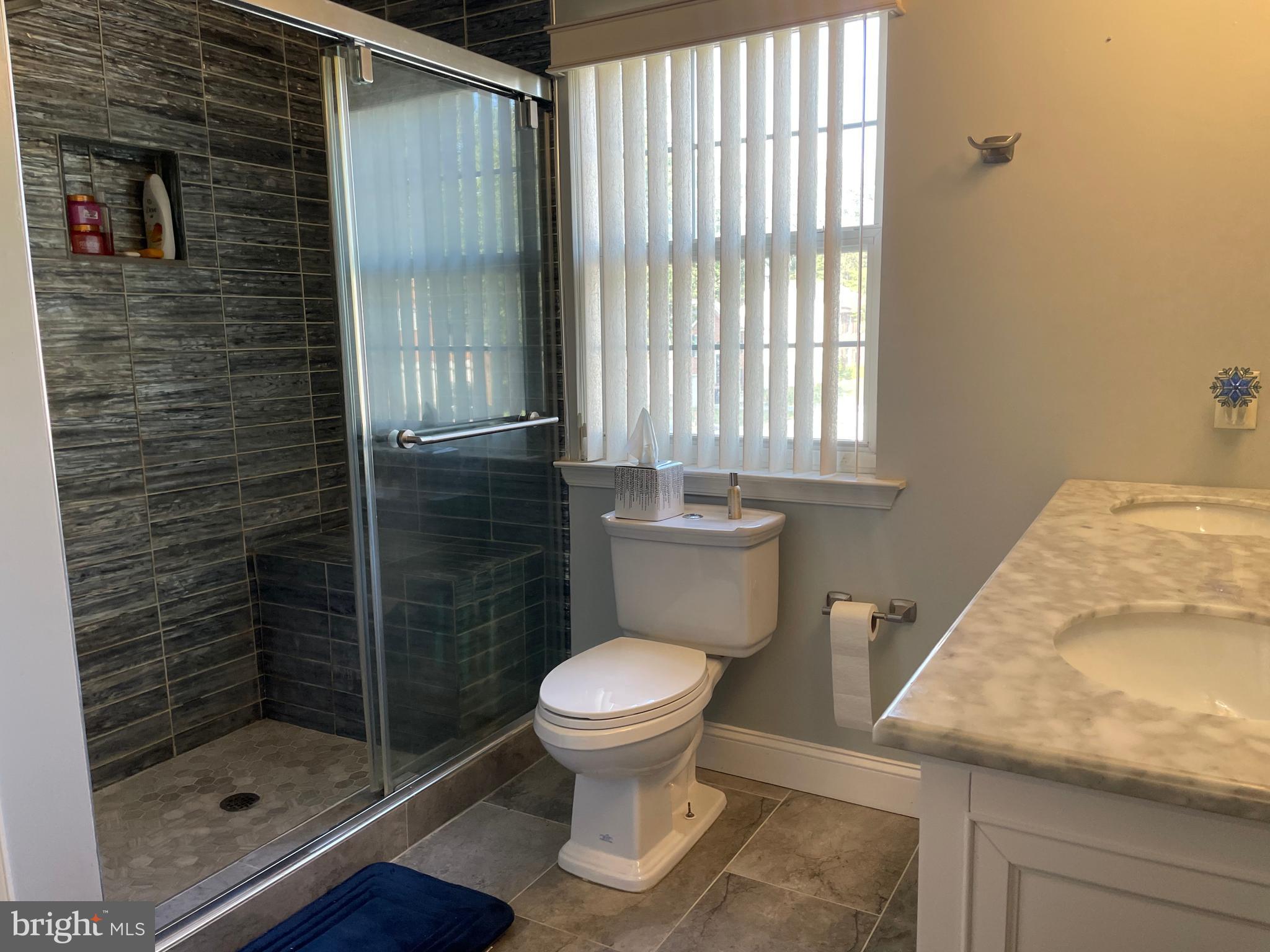 6106 Modupeola Way Capitol Heights, MD 20743 - Photo 18 of 32 MSBR Full shower with seat