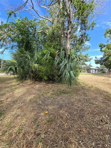 a view of a yard with a tree