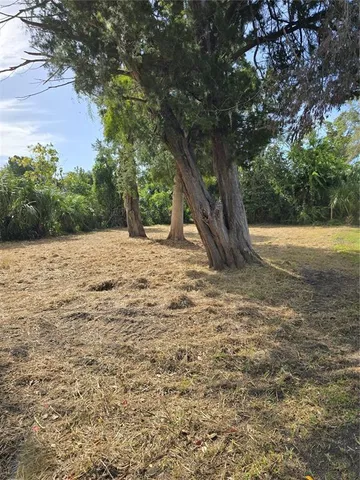 a view of a yard with large trees