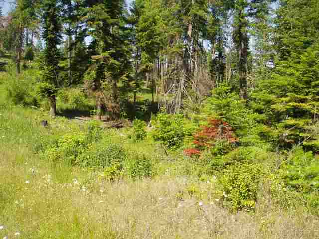 Xx East Antler Road Chattaroy, WA 99003 - Photo 4 of 9 Gallery Image 4