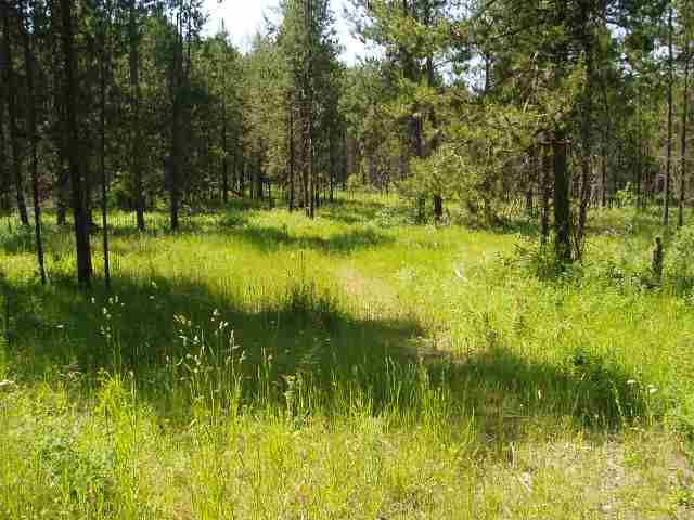 Xx East Antler Road Chattaroy, WA 99003 - Photo 5 of 9 Gallery Image 5