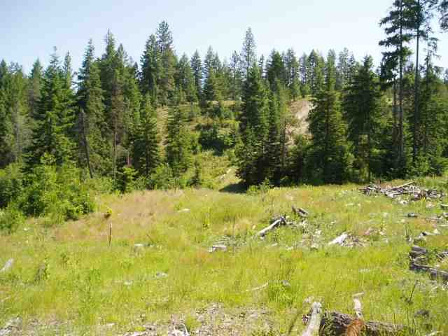 Xx East Antler Road Chattaroy, WA 99003 - Photo 6 of 9 Gallery Image 6