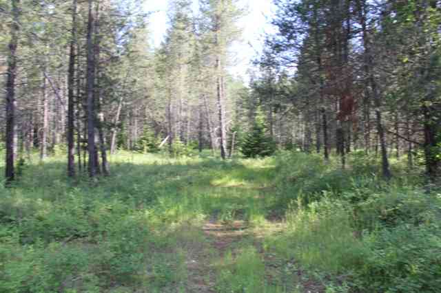 Xx East Antler Road Chattaroy, WA 99003 - Photo 7 of 9 Gallery Image 7