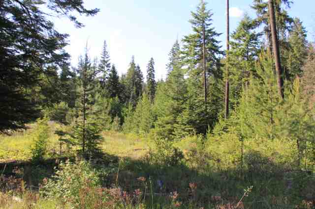 Xx East Antler Road Chattaroy, WA 99003 - Photo 8 of 9 Gallery Image 8