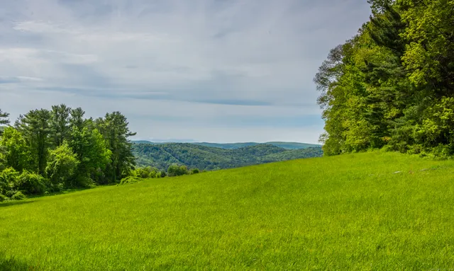 a view of a field with an ocean
