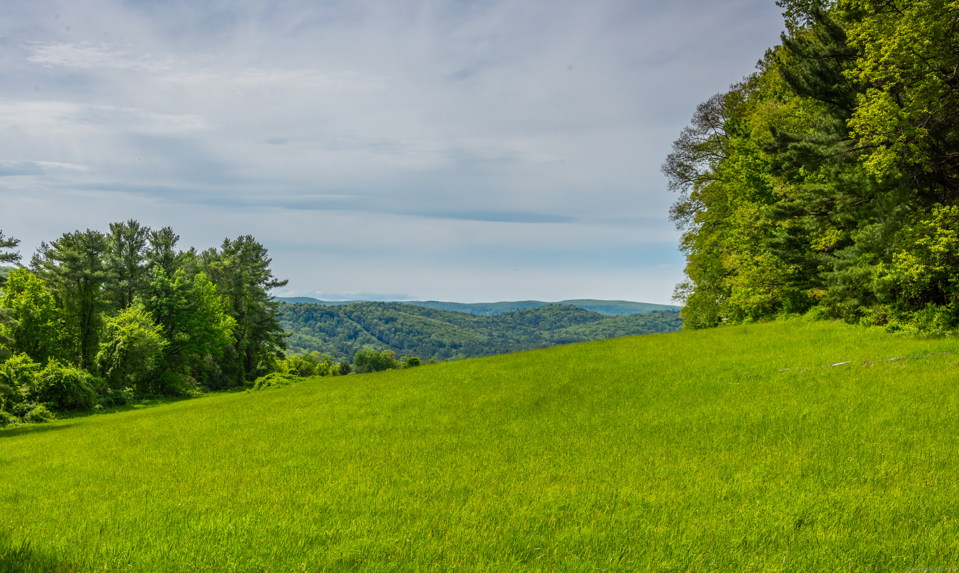 a view of a field with an ocean