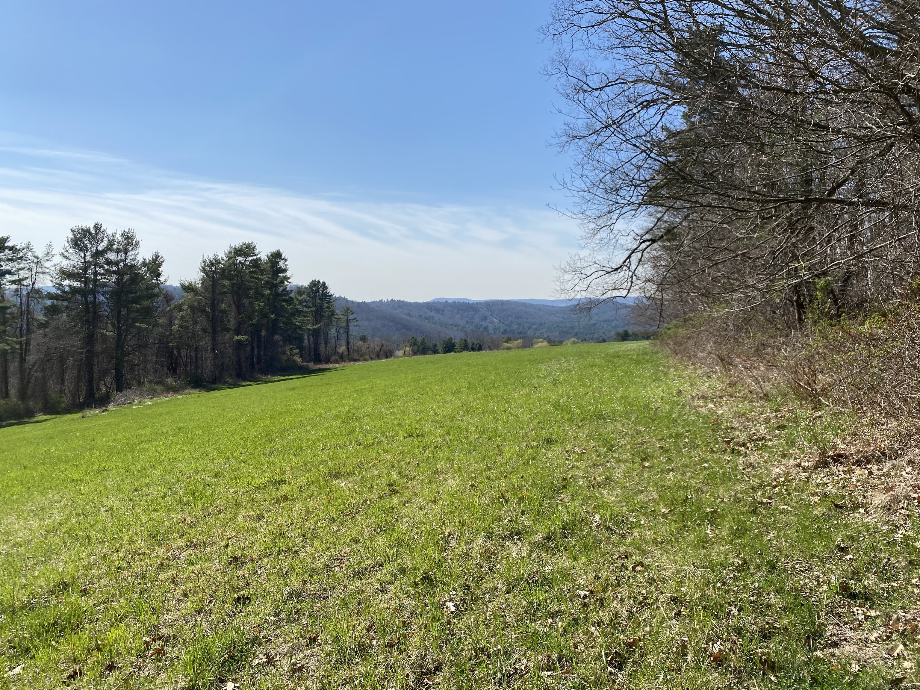 198-2 Beebe Hill Road Falls Village, CT 06031 - Photo 11 of 14 a view of a field with an tree