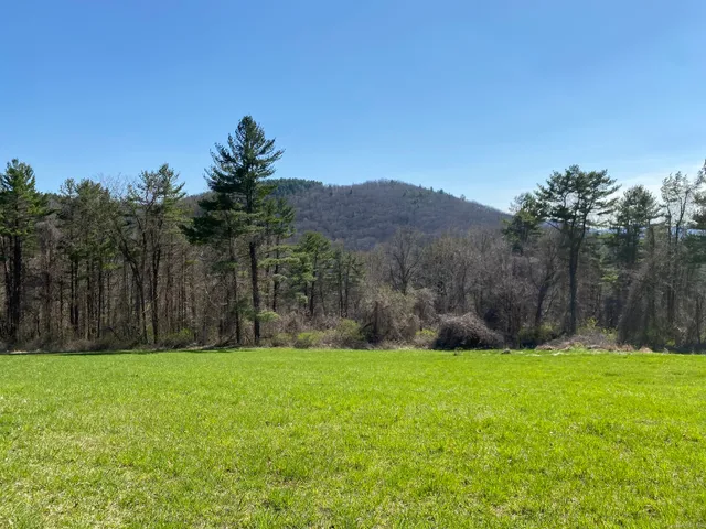 a view of garden with trees