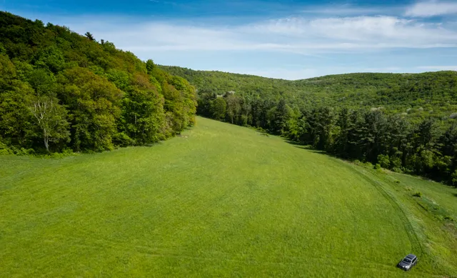 a view of a green field with mountains in the background