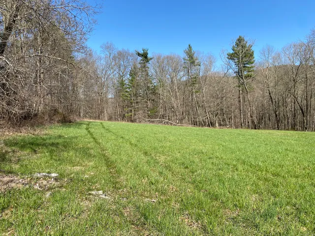 a view of a field with trees in the background