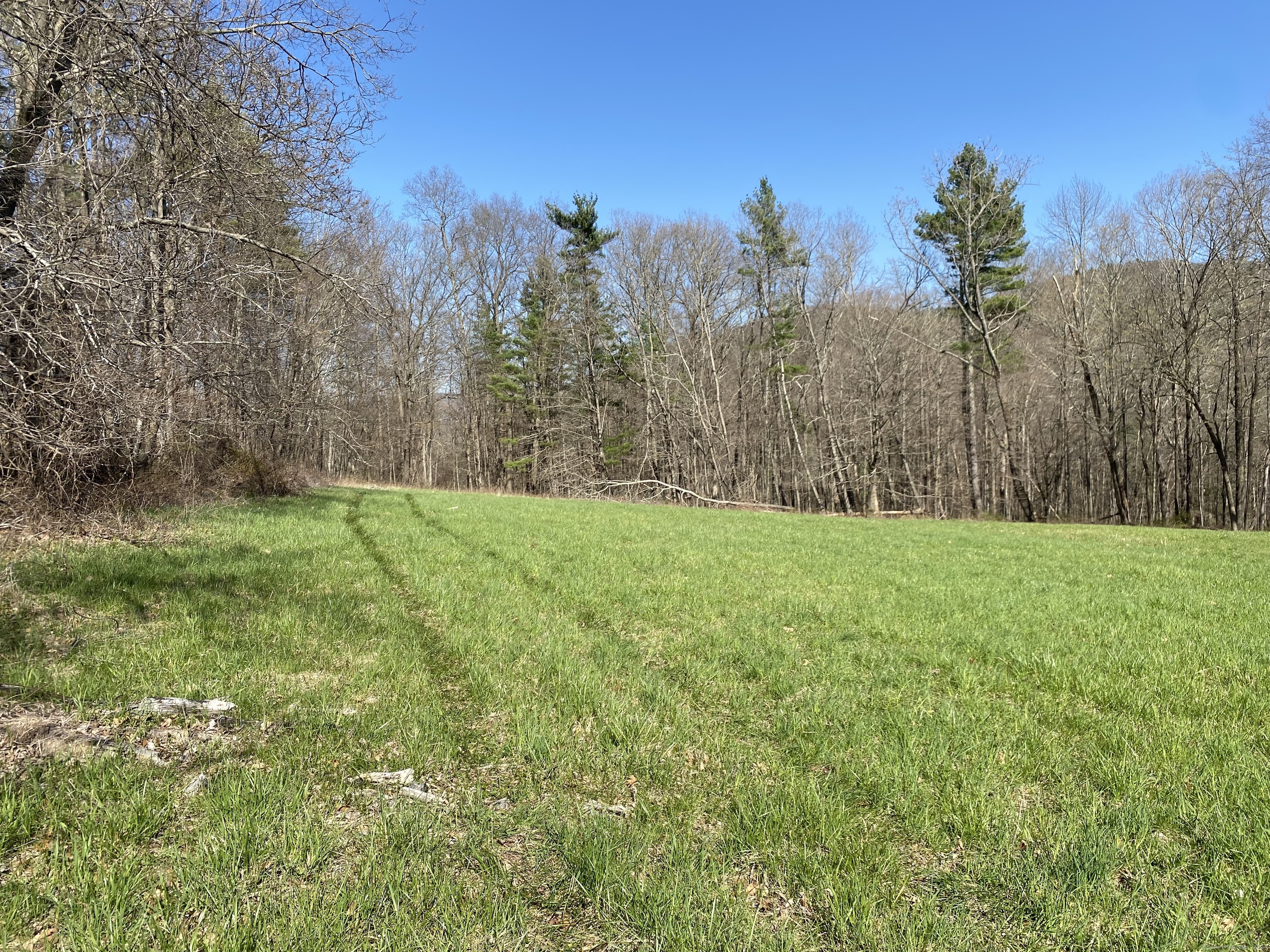 198-2 Beebe Hill Road Falls Village, CT 06031 - Photo 6 of 14 a view of a field with trees in the background