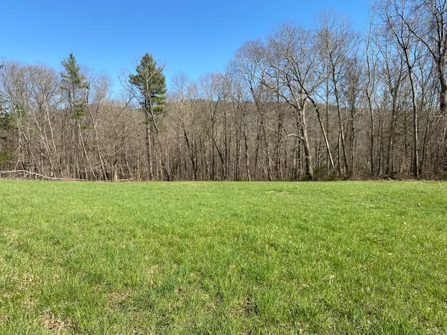 a view of garden with trees