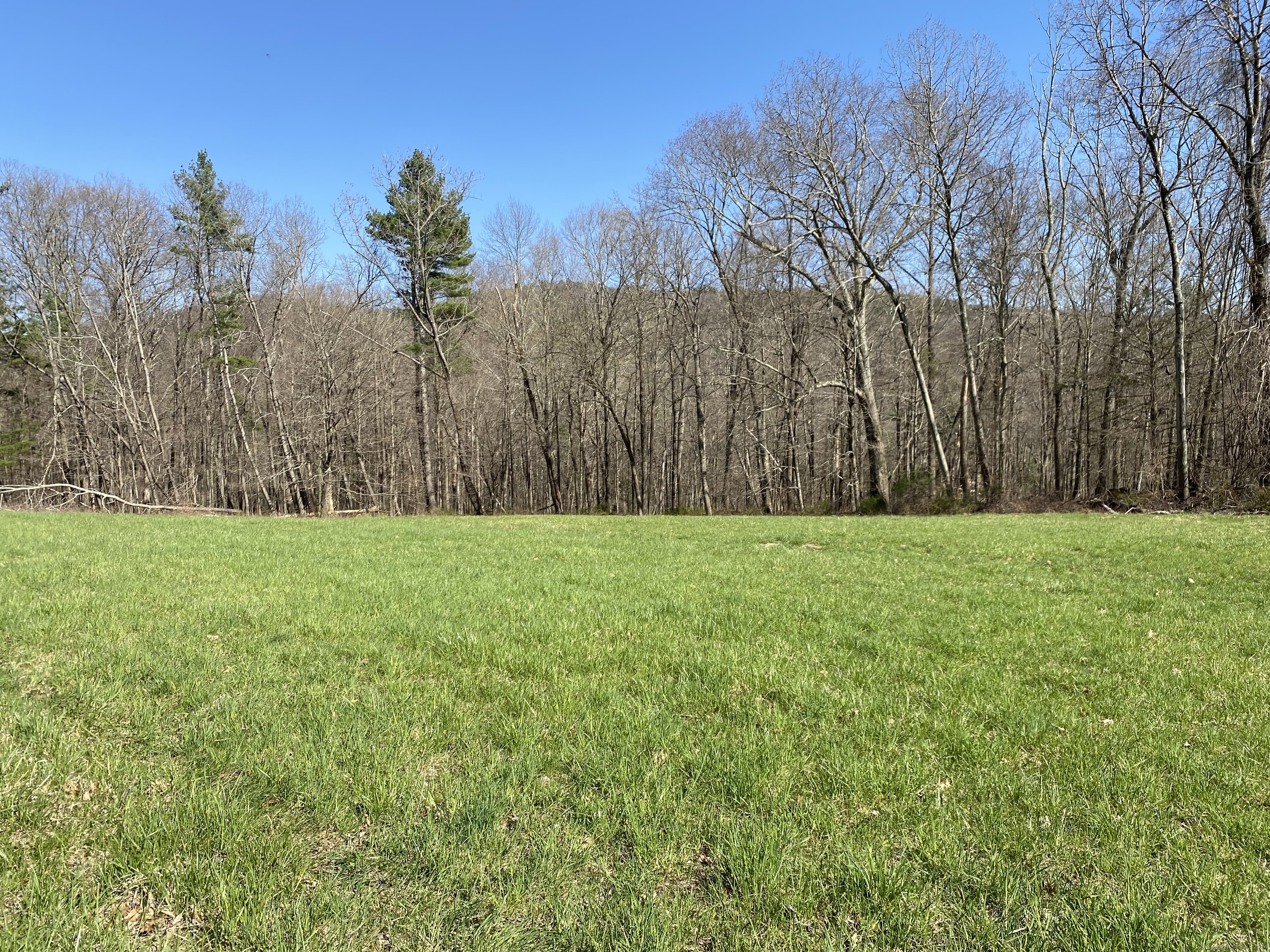 198-2 Beebe Hill Road Falls Village, CT 06031 - Photo 7 of 14 a view of garden with trees