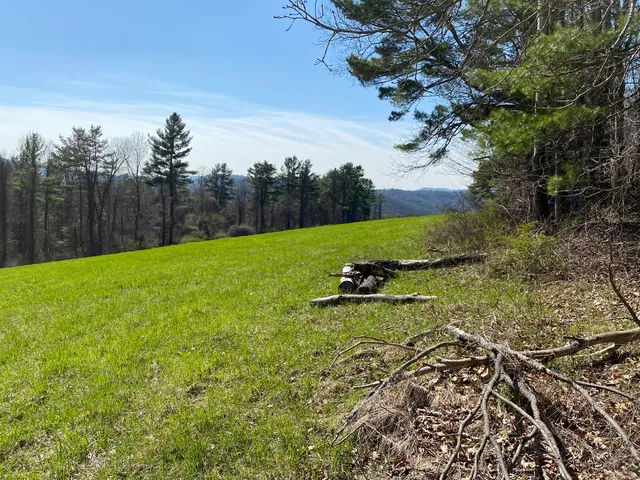 a view of a field of the house and front of a tree