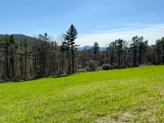 a backyard of a house with lots of green space