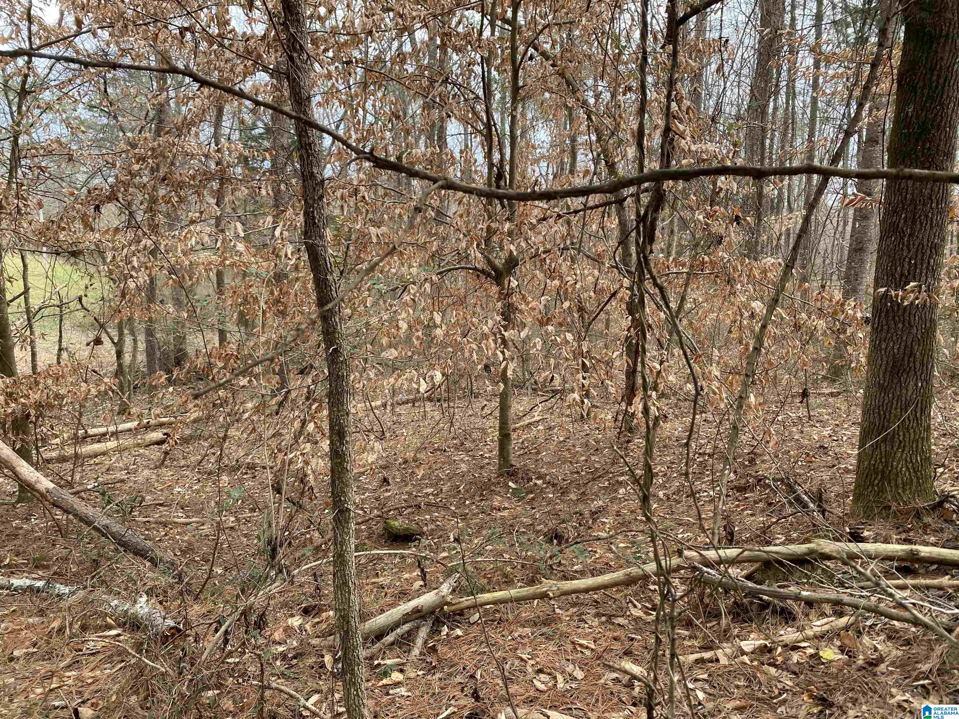 2775 Pinehole Road, Unit N Lineville, AL 36266 - Photo 1 of 5