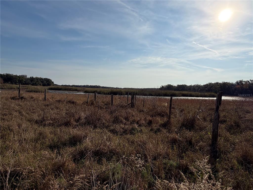 6966 East Turner Camp Road Inverness, FL 34453 - Photo 12 of 18