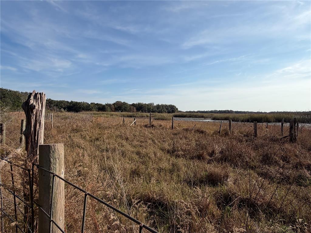 6966 East Turner Camp Road Inverness, FL 34453 - Photo 14 of 18