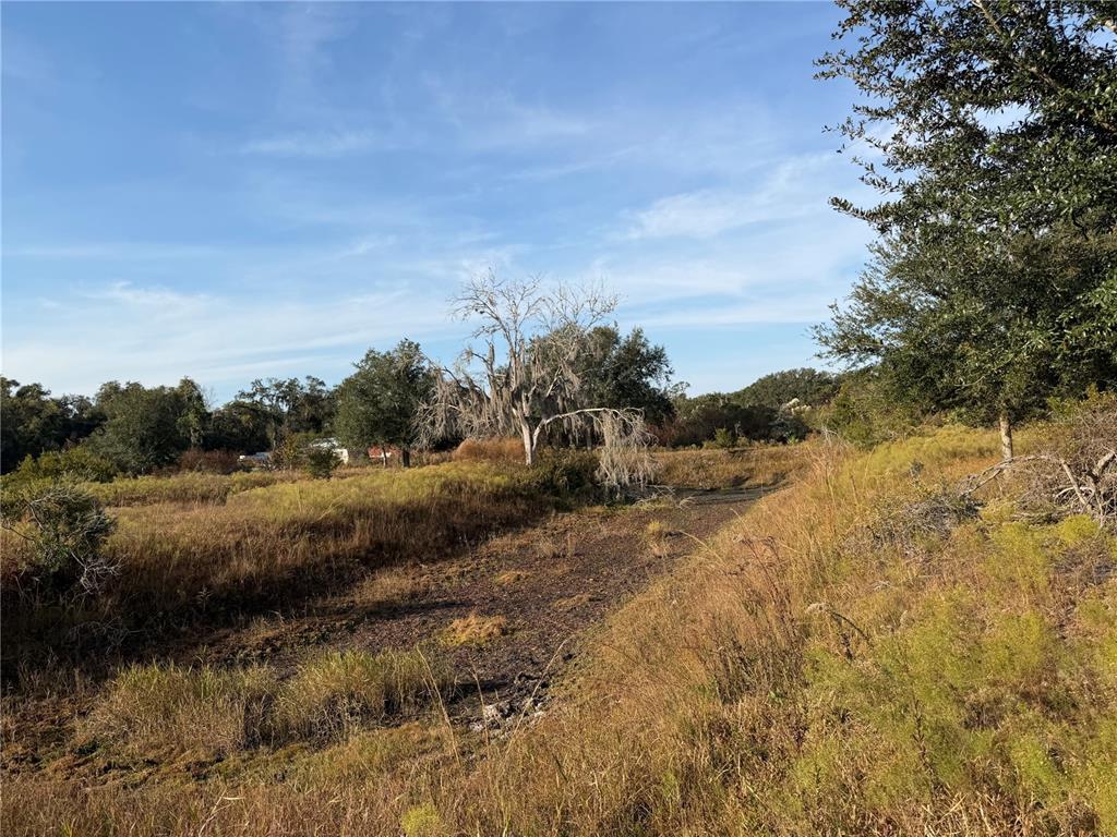 6966 East Turner Camp Road Inverness, FL 34453 - Photo 15 of 18