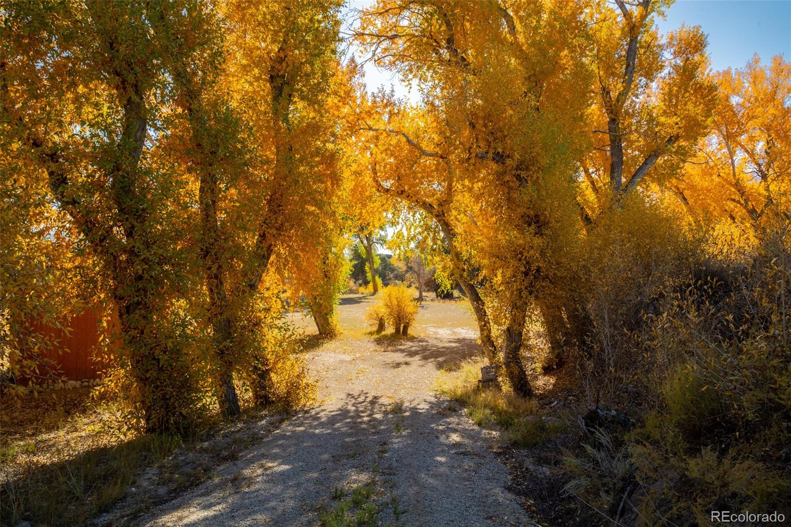11033 Rivers Edge Lane Salida, CO 81201 - Photo 46 of 48
