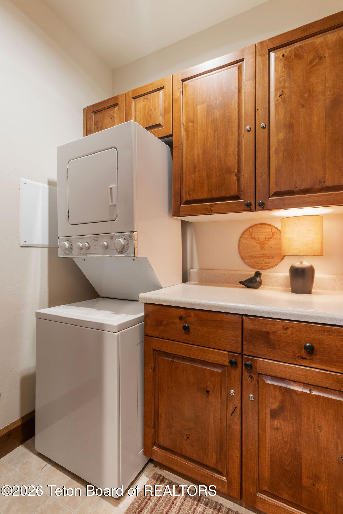 536 Snow King Loop Road, Unit 3630 Jackson, WY 83001 - Photo 41 of 42 2nd wash and dry