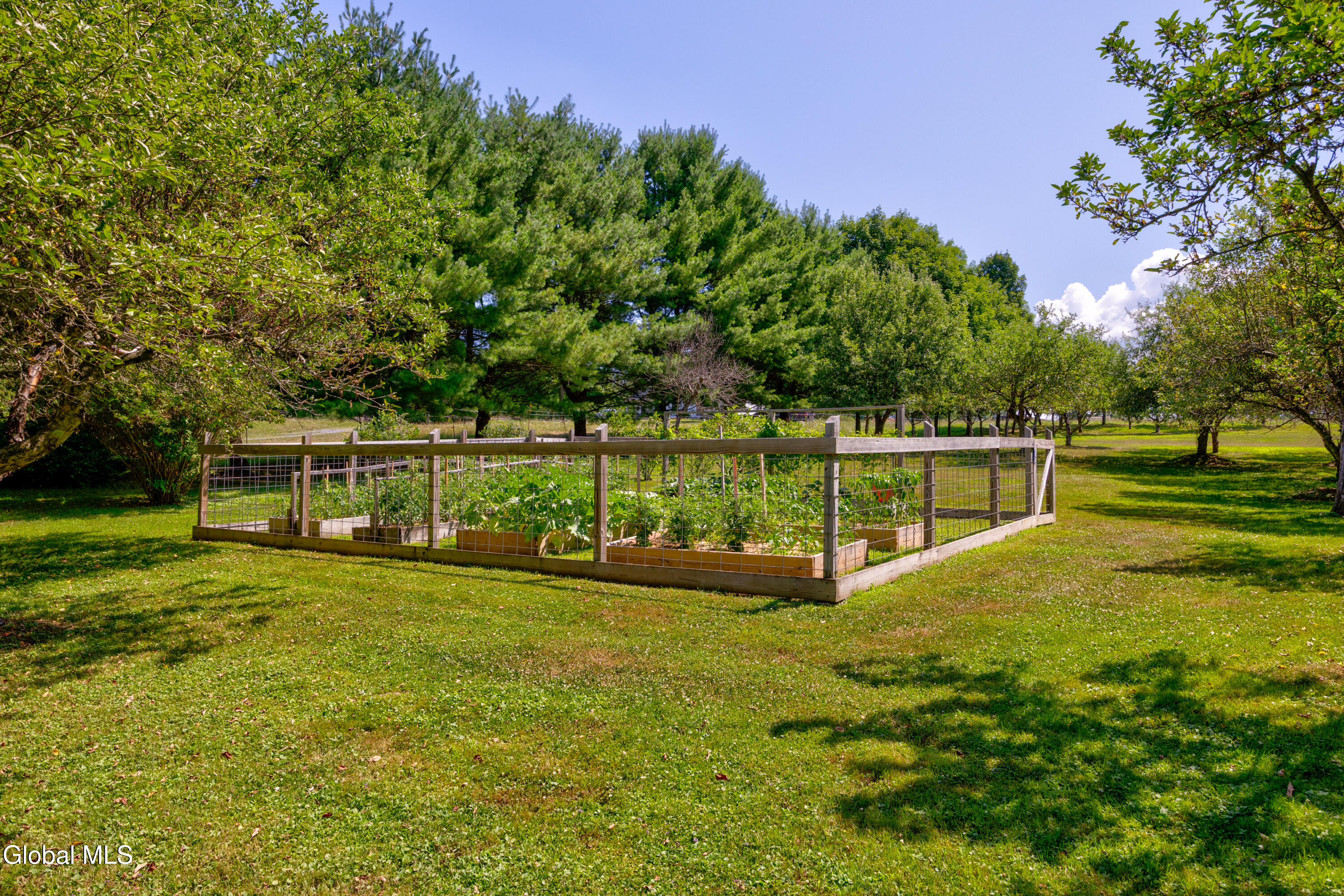 250 Bashford Road Chatham, NY 12184 - Photo 36 of 38 1 (45)