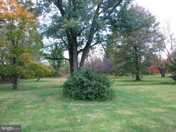 252 Pennington Harbourton Road Pennington, NJ 08534 - Photo 14 of 21 Back Yard