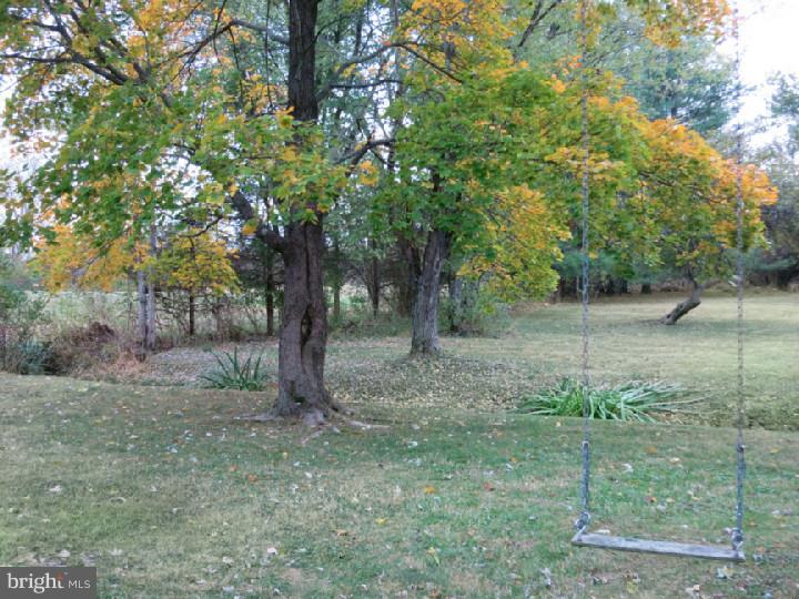 252 Pennington Harbourton Road Pennington, NJ 08534 - Photo 15 of 21 Back Yard