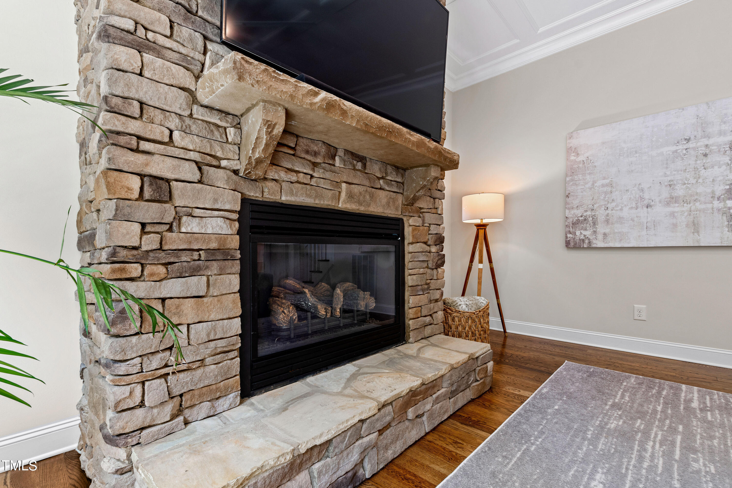 3209 Bryant Falls Court Raleigh, NC 27613 - Photo 14 of 76 Fireplace