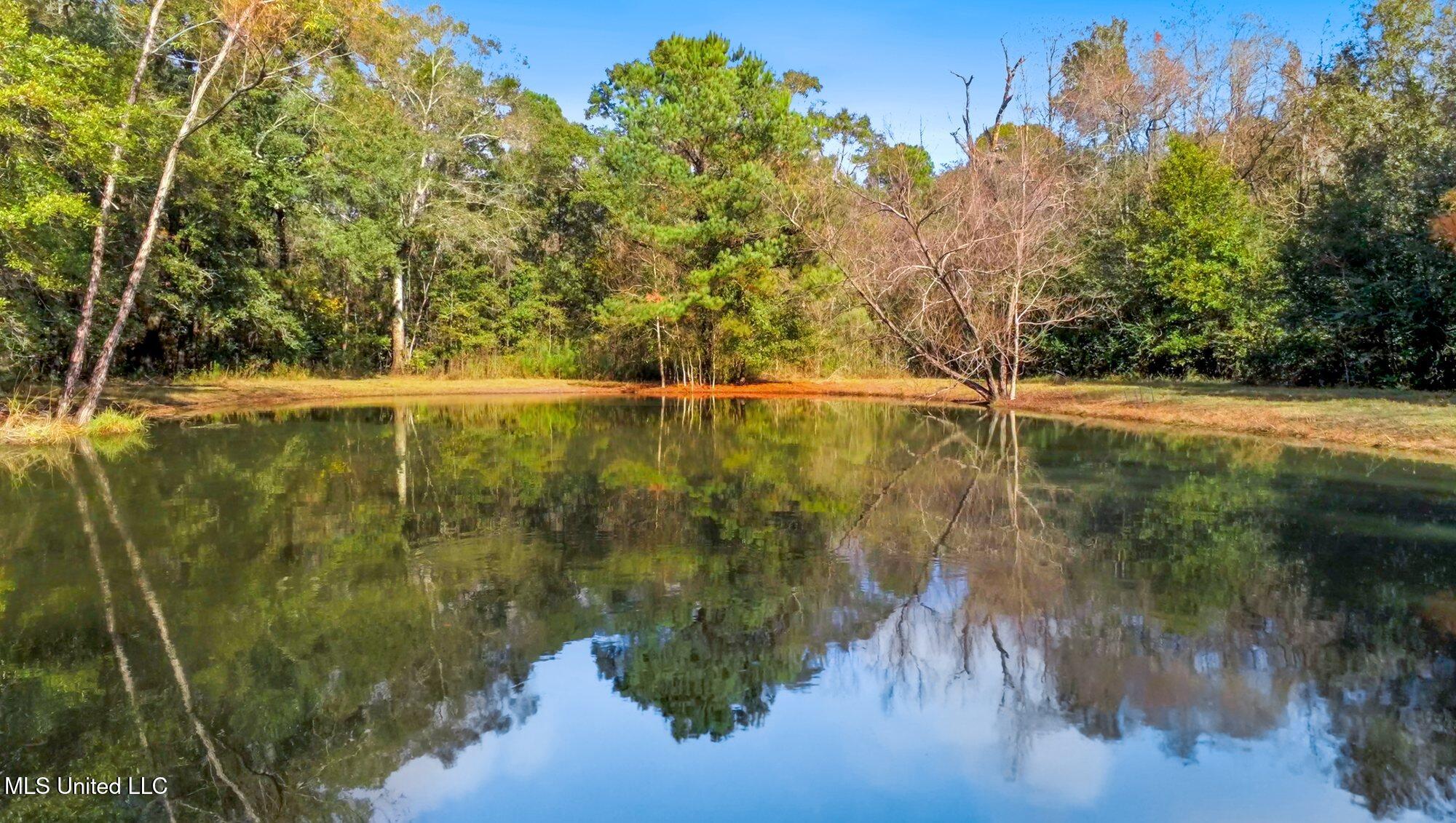 15804 Peapatch Road Biloxi, MS 39532 - Photo 22 of 33 15804 Peapatch Rd