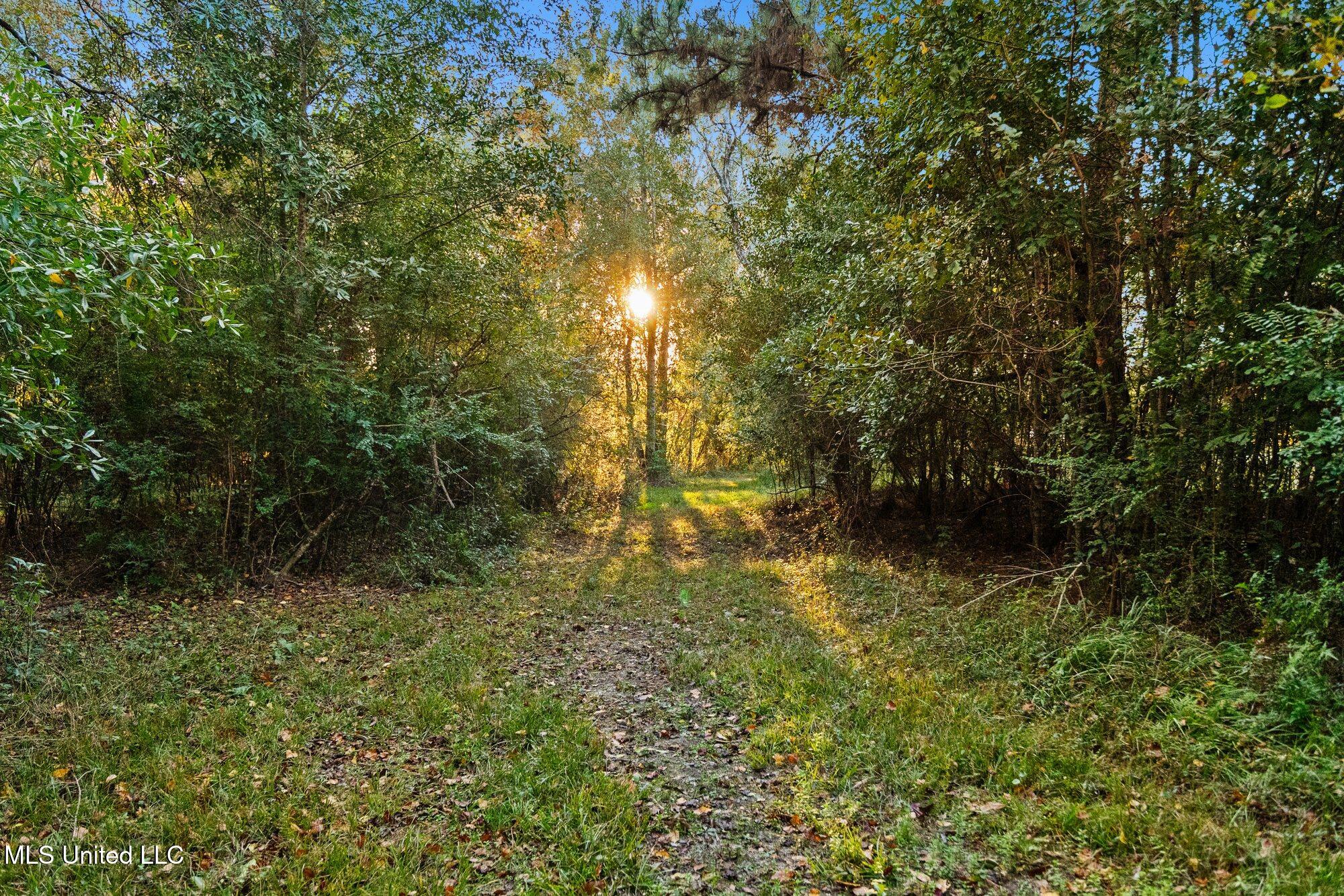 15804 Peapatch Road Biloxi, MS 39532 - Photo 23 of 33 15804 Peapatch Rd