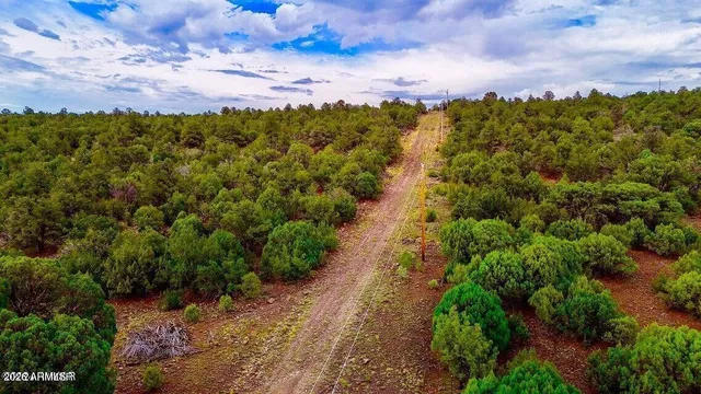 $210,000 | N3218 37 Acres Vernon Az 85940, Show Low, AZ 85901