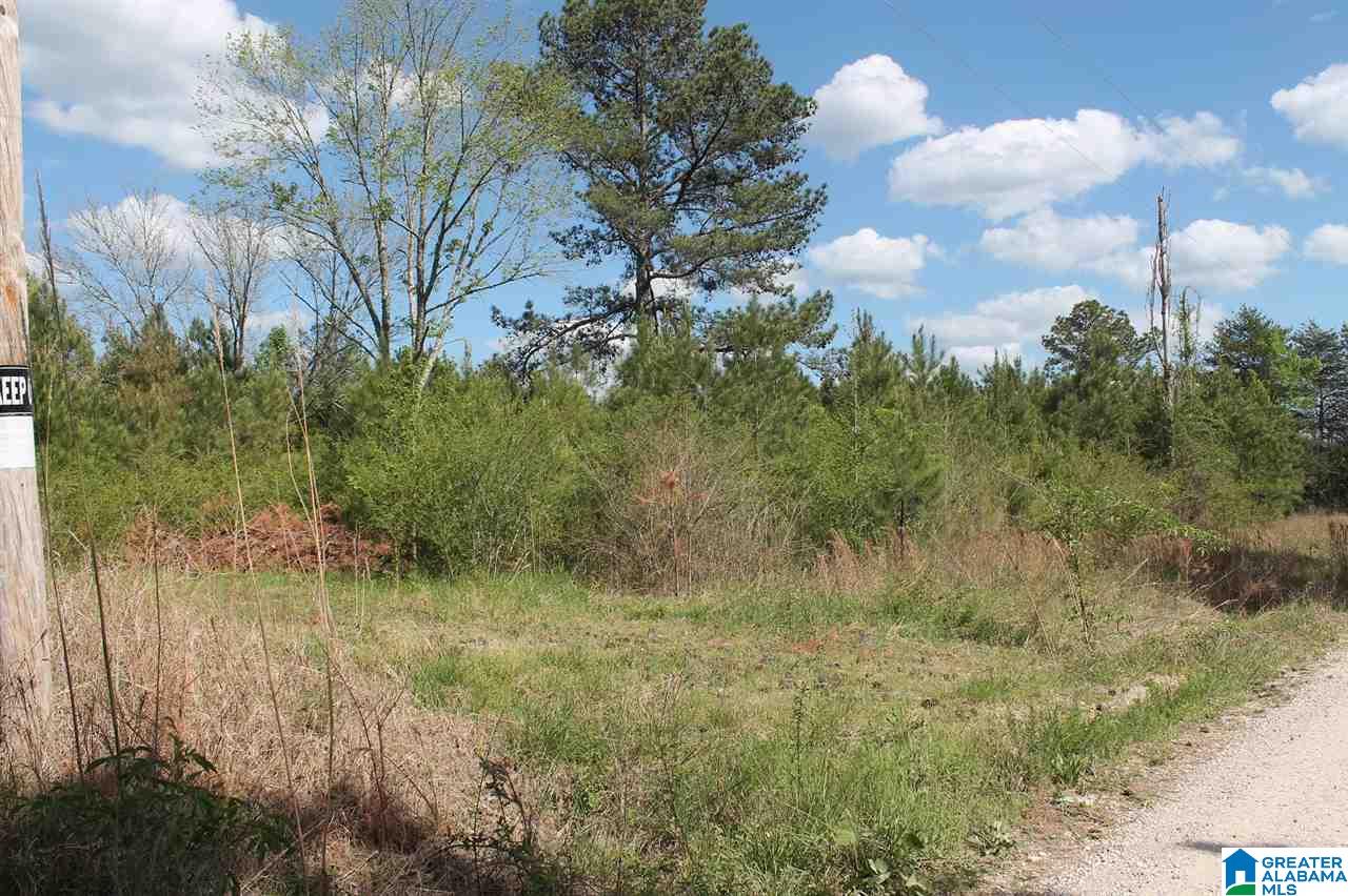 0 Highway 41 Addison Al, Unit 2 AC Addison, AL 35540 - Photo 5 of 5