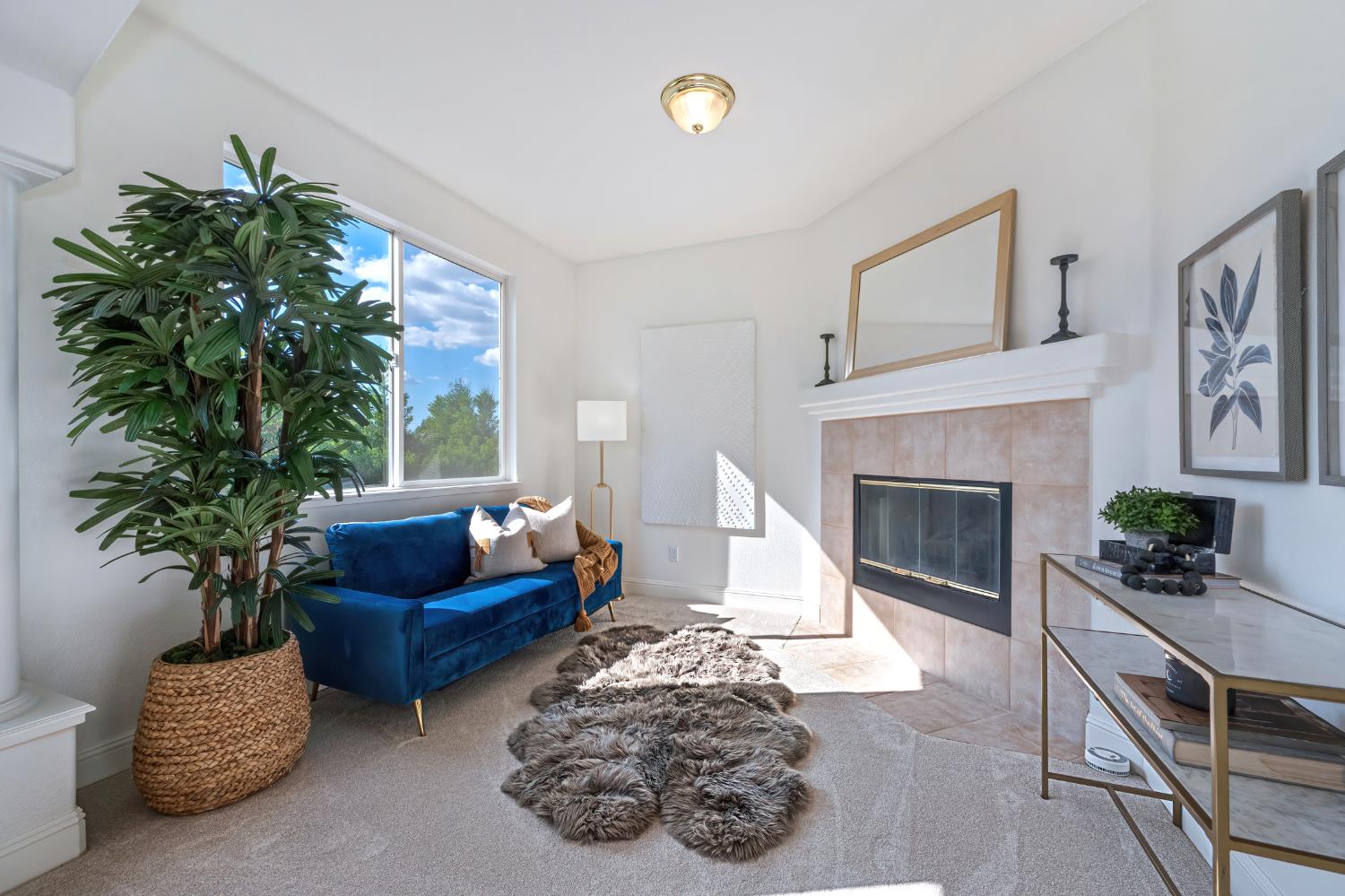 820 Travis Street Folsom, CA 95630 - Photo 29 of 47 a living room with furniture potted plant and a fireplace