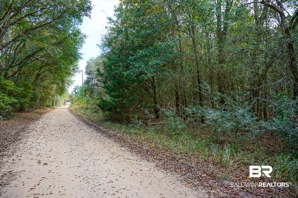 0 Smith Young Road Mobile, AL 36695 - Photo 1 of 8 View of dirt / gravel road featuring a forest view